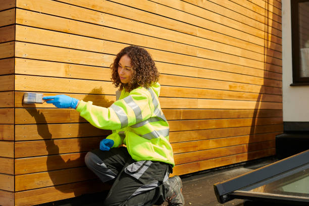 Best Custom Trim and Detailing for Siding  in South Milwaukee, WI